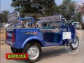 三輪電動(dòng)車 (218播放)