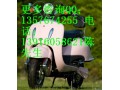 電摩大龜王電動車/大龜王電動摩托車/碟剎/踏板車