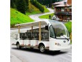 電動(dòng)景區(qū)游覽車(chē) 合格車(chē)型