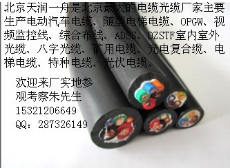 電動(dòng)汽車電纜
