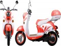 市場(chǎng)上暢銷(xiāo)的小龜王系列車(chē)型產(chǎn)品信息