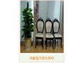 什么是室內(nèi)綠化？ 成都辦公室植物租賃-成都室內(nèi)植物租賃