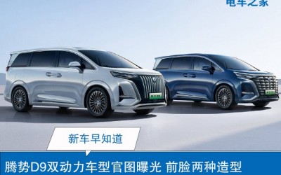 騰勢D9雙動力車型官圖曝光 前臉兩種造型
